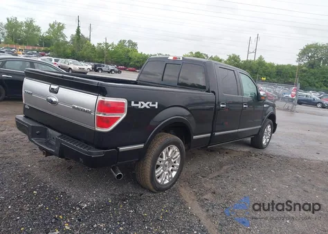 2009 Ford F-150 Fx4/King Ranch/Lariat/Platinum/Xl/Xlt z USA, uszkodzony, nr VIN 1FTPW14V39FA99058